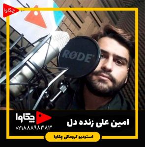 امین علی زنده دل