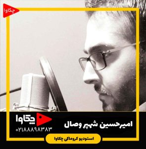 امیرحسین شهپر وصال