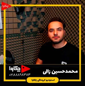 محمدحسین زالی