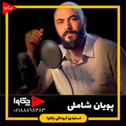 پویان شاملی