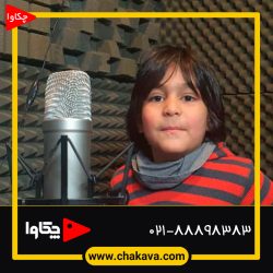 طاهر حسین مردی