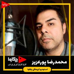 محمدرضا پورعزیز